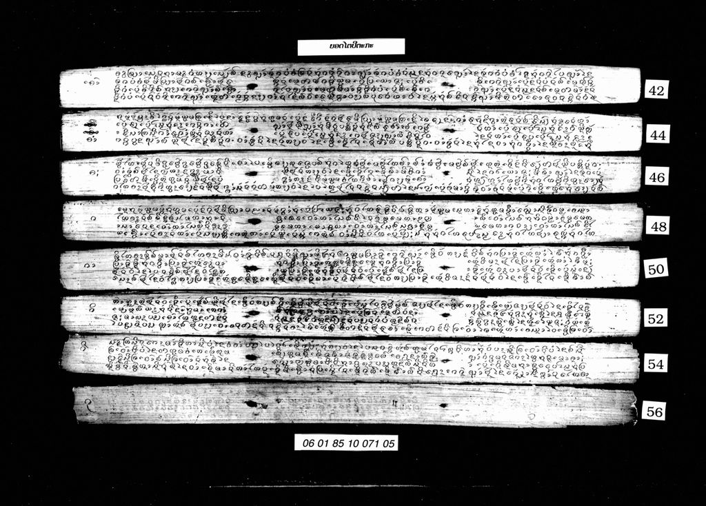 ຍອດໄຕປິຕກະ