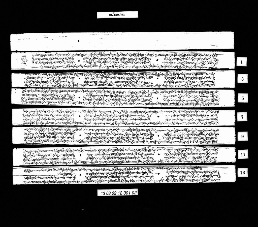 ພະກຶຕຕະກອນ