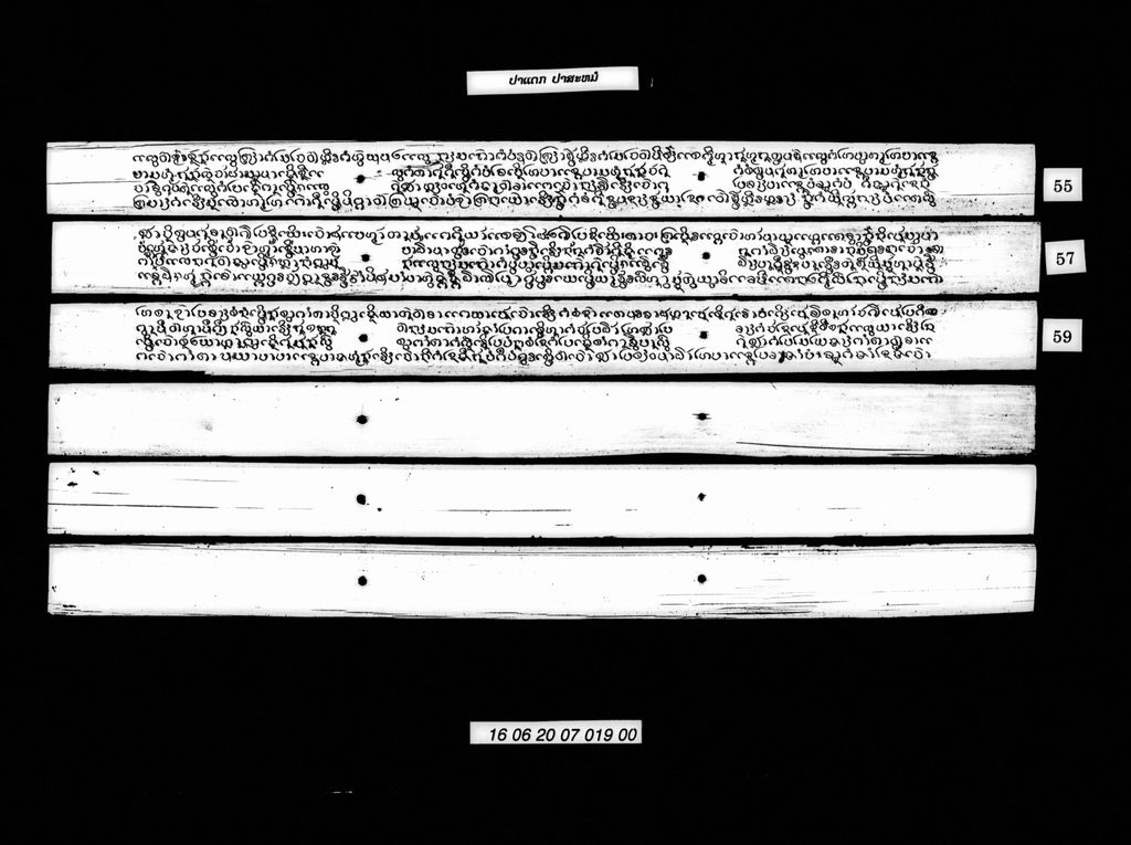 ປາແດກປາສະໝໍ