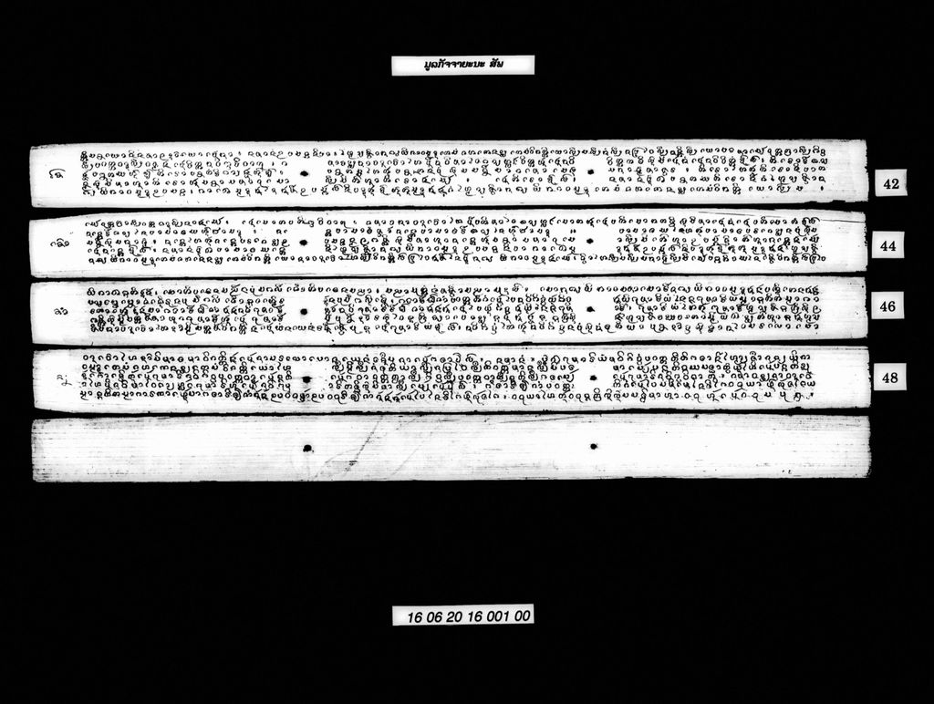 ມູລກັຈຈາຍະນະ (ສັພ)