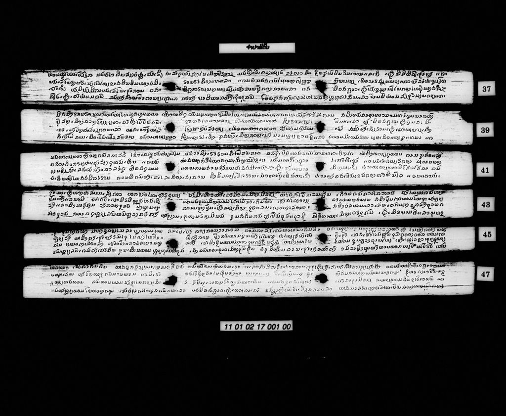 ຈຳປາສີ່ຕົ້ນ